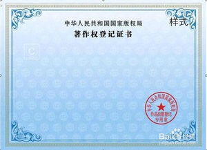 软件著作权登记的关键注意事项及实务指南